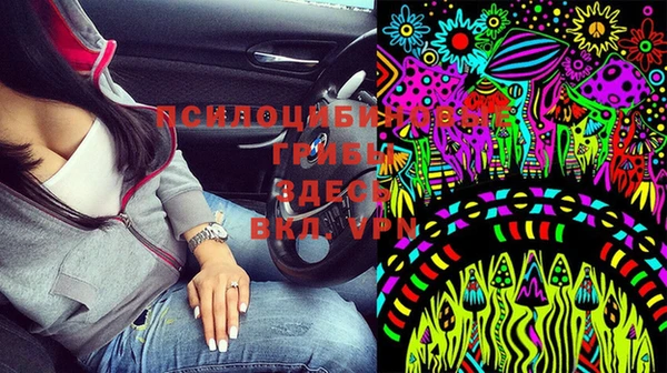 соль ск Вязники