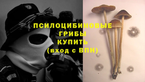 Альфа ПВП Вязьма