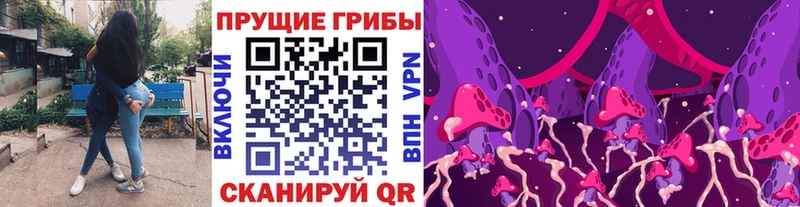 Галлюциногенные грибы Psilocybine cubensis  Ногинск 